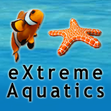 eXtreme Aquatics | Home of the eXtreme Aquarists logo